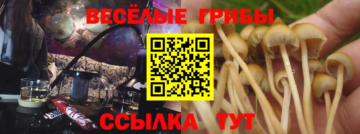 Галлюциногенные грибы ЛСД Ухта
